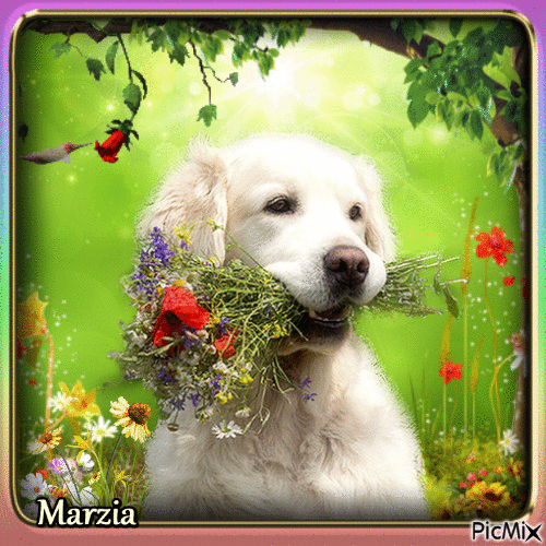 Dog and flowers - Free animated GIF