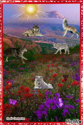 O Vale dos Lobos - Gratis animeret GIF