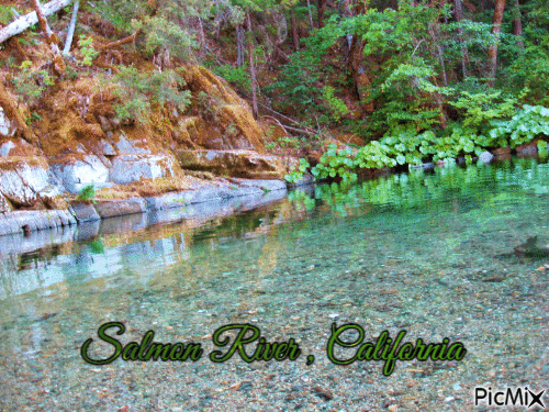 Salmon River, California - GIF animé gratuit