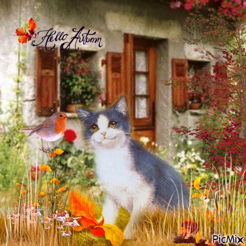 Autumn cat - фрее пнг