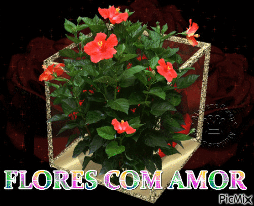 FLORES COM AMOR - Бесплатни анимирани ГИФ