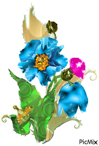 kvety - GIF animate gratis