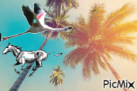 camargue - GIF animado grátis