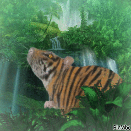 Tiger rat in jungle - Бесплатный анимированный гифка
