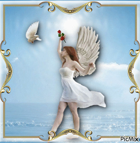 Angels and  dove heart and rose - Animovaný GIF zadarmo