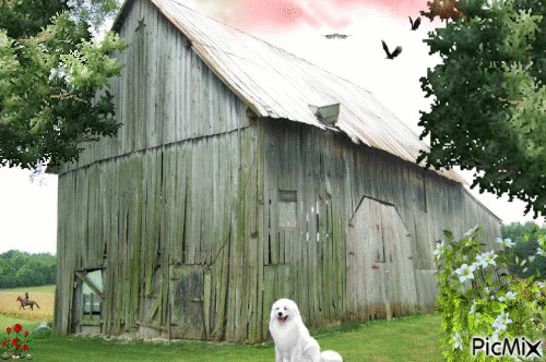 The Old Barn - Безплатен анимиран GIF