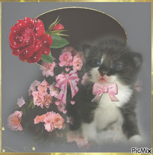 chaton et les roses - GIF animé gratuit