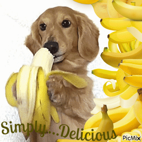 Banana Day... - Free animated GIF