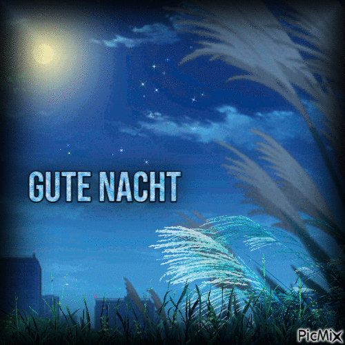 Gute Nacht - Безплатен анимиран GIF