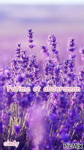 Fatima et abderaman - png ฟรี