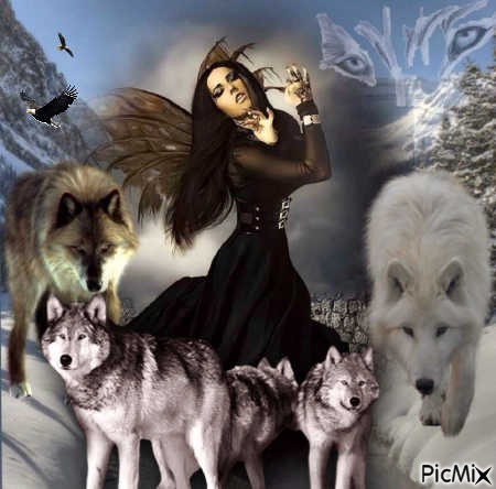 fairy n wolves - Free PNG