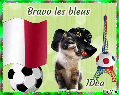 Bravo les bleus - Безплатен анимиран GIF