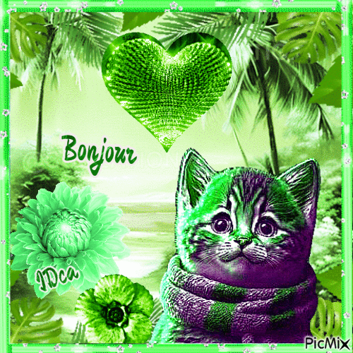 Bonjour les chatons - Bezmaksas animēts GIF