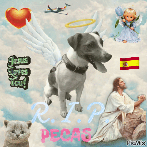 RIP Pecas - GIF animé gratuit