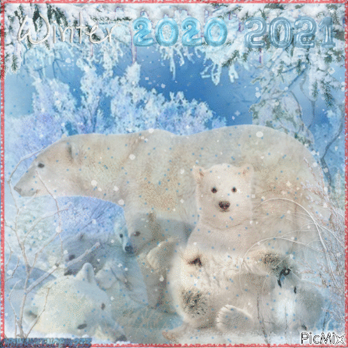 Winter Polar Bears 2020/2021 - GIF animado gratis