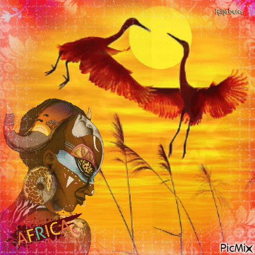 Sunset in Africa/contest - Ilmainen animoitu GIF