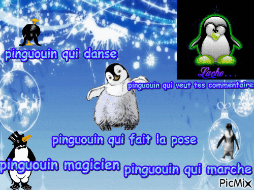 pingouin... - Animovaný GIF zadarmo