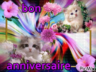 cadre anniversaire - Free PNG
