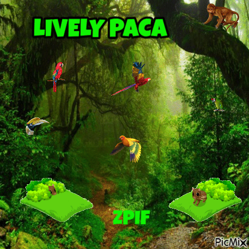 Lively Paca - GIF animado gratis