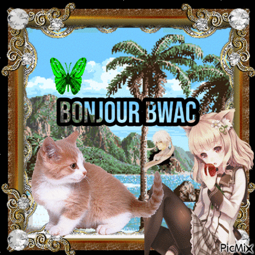 Bonjour bwac - Бесплатный анимированный гифка