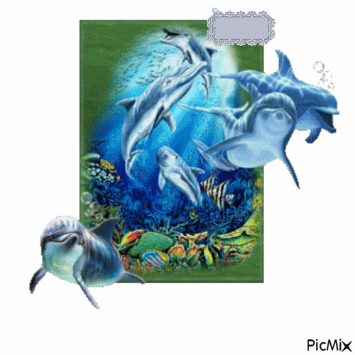 ébauche dauphins - Free animated GIF