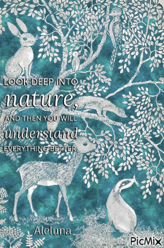 Look Deep Into Nature - Безплатен анимиран GIF