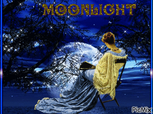 Moonlight - GIF animé gratuit