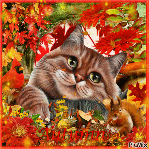 Autumn feline portrait - Бесплатни анимирани ГИФ