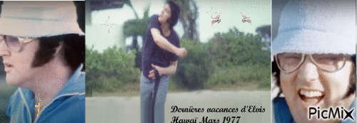 ELVIS- Dernières vacances à Hawaï  mars 1977. - Free animated GIF