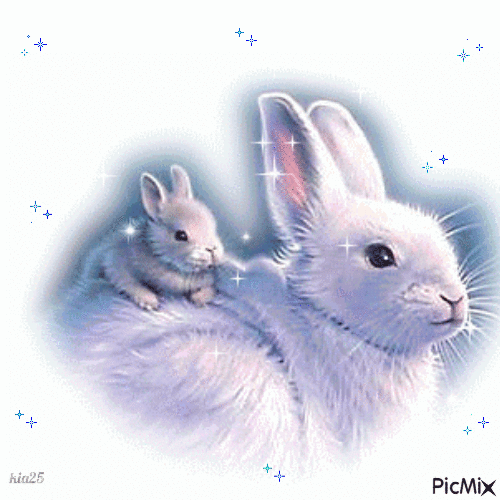 lapins - GIF animé gratuit