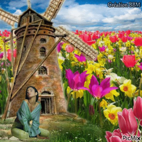 Tulipes et moulin par BBM - GIF animé gratuit