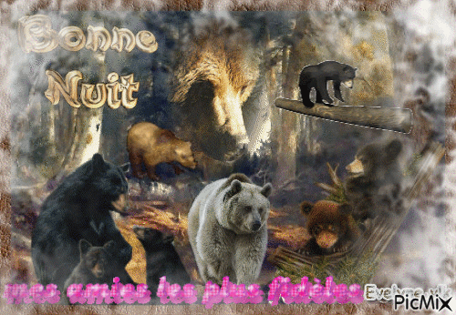 nos chers ours - GIF animate gratis