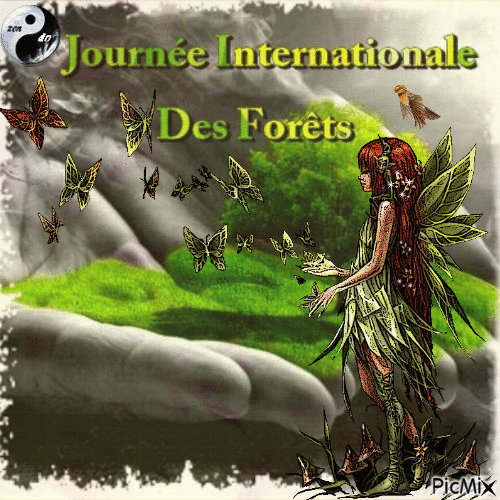 ✦ journée internationale des Forêts - Zdarma animovaný GIF