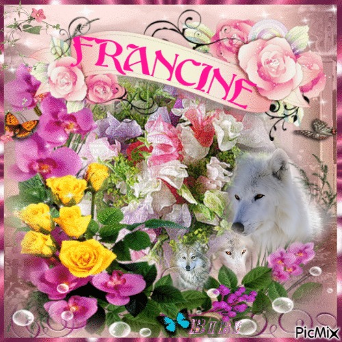 Pour Francine. - ücretsiz png
