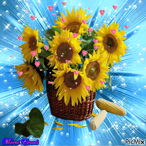 Sun flower - Ingyenes animált GIF