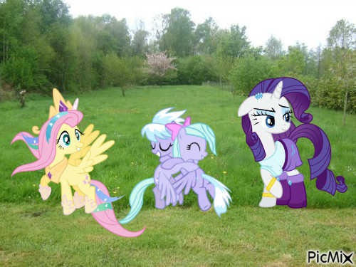 MLP - Free PNG
