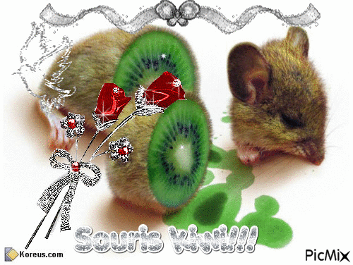 Souris kiwi!!! - GIF animate gratis