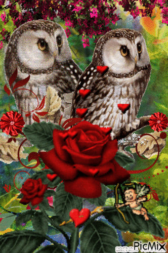 OWL ALWAYS LOVE YOU 5 - Zdarma animovaný GIF