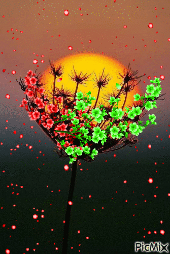 Flor-sol - GIF animate gratis