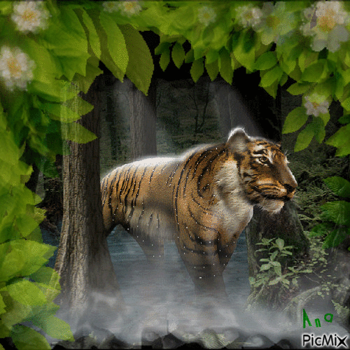 Tigre observando... - Безплатен анимиран GIF