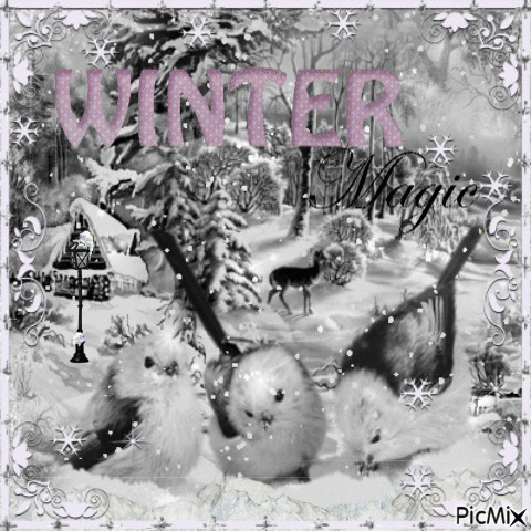 winter magic - Gratis animeret GIF