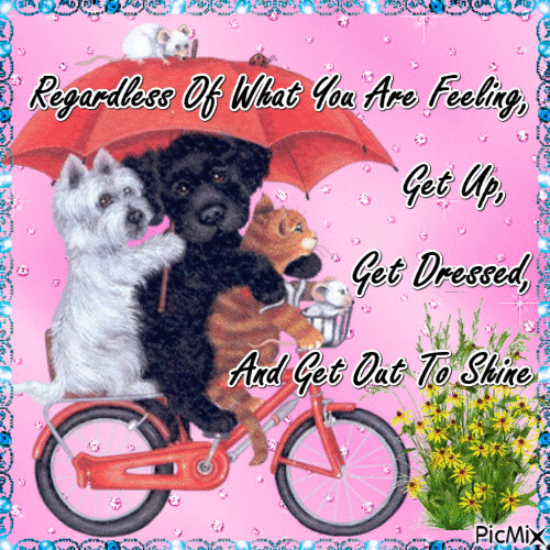 Regardless Of What You Are Feeling, Get Up, Get Dressed, And Get Out To Shine - GIF animado gratis