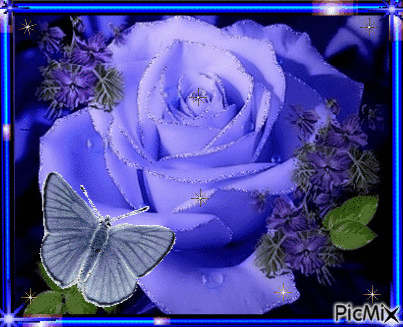 Blue rose 3. - Безплатен анимиран GIF