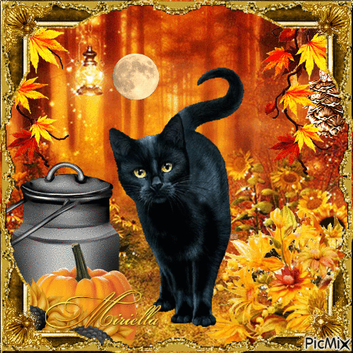 Contest!Le chat noir - Gratis animerad GIF