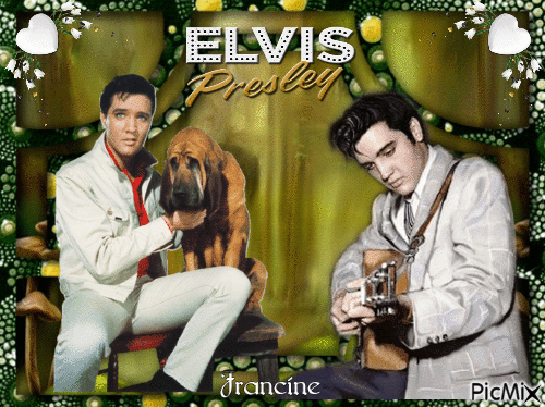 Mon Idole Elvis Presley 🐶🤍🐶 - 無料のアニメーション GIF