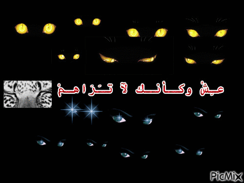 عمي بوشيبة21 - Zdarma animovaný GIF
