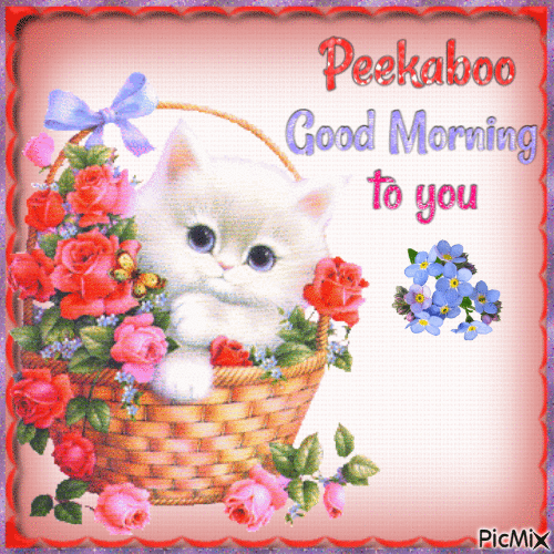 Good morning, peekaboo - Безплатен анимиран GIF