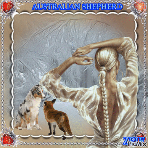 AUSTRALIAN SHEPHERD - Бесплатный анимированный гифка