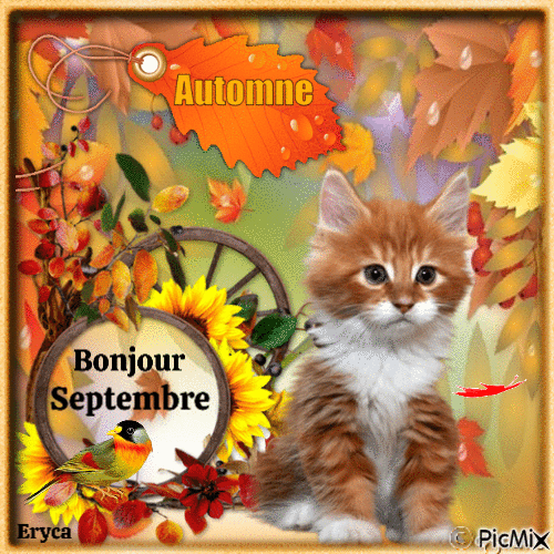 L' Automne arrive ! - Free animated GIF