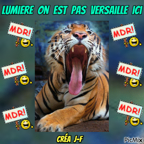 lumiere on est pas versaille ici - Darmowy animowany GIF